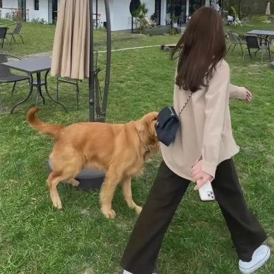 霖渊一梦